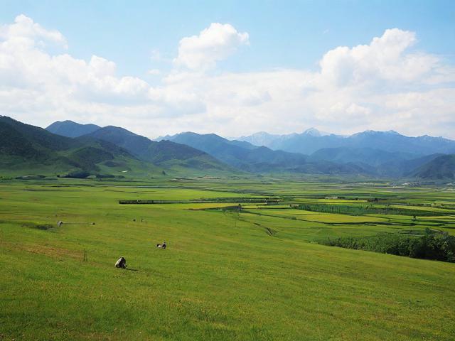 小诗的jianying日记(寻找内心的风景)